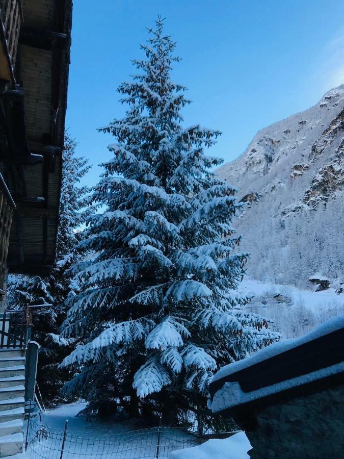 Casa Vacanze Nora Chamois Exteriér fotografie